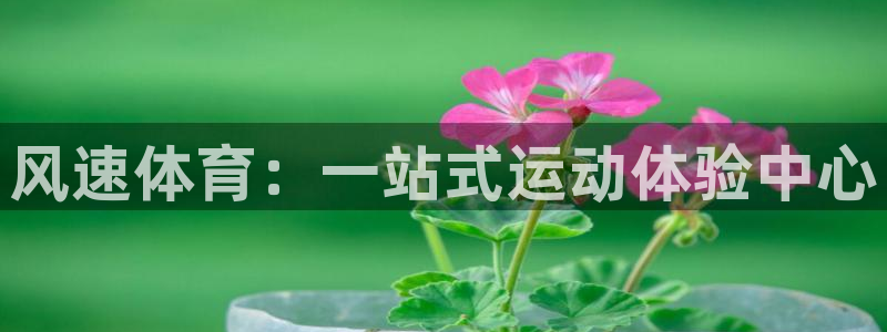 3377体育官网下载平台假的吗是真的吗吗:风速体育:一站式运