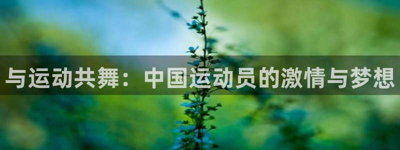 3377体育官网下载平台假的吗是真的吗:与运动共舞:中国运动