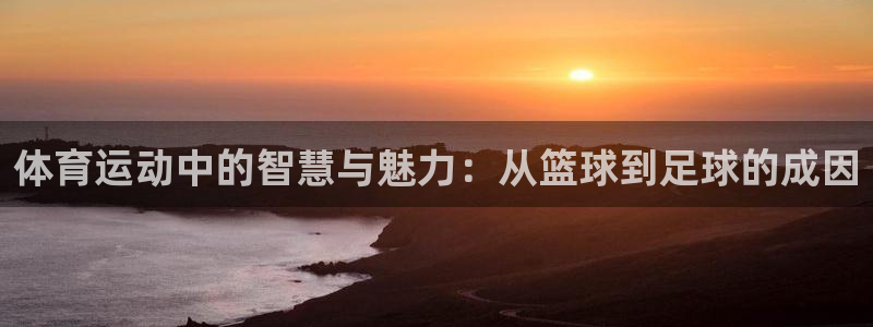 3377体育官方正版app集团官网网址:体育运动中的智慧与魅