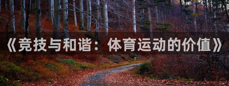 3377体育官方集团官网:《竞技与和谐:体育运动的价值》